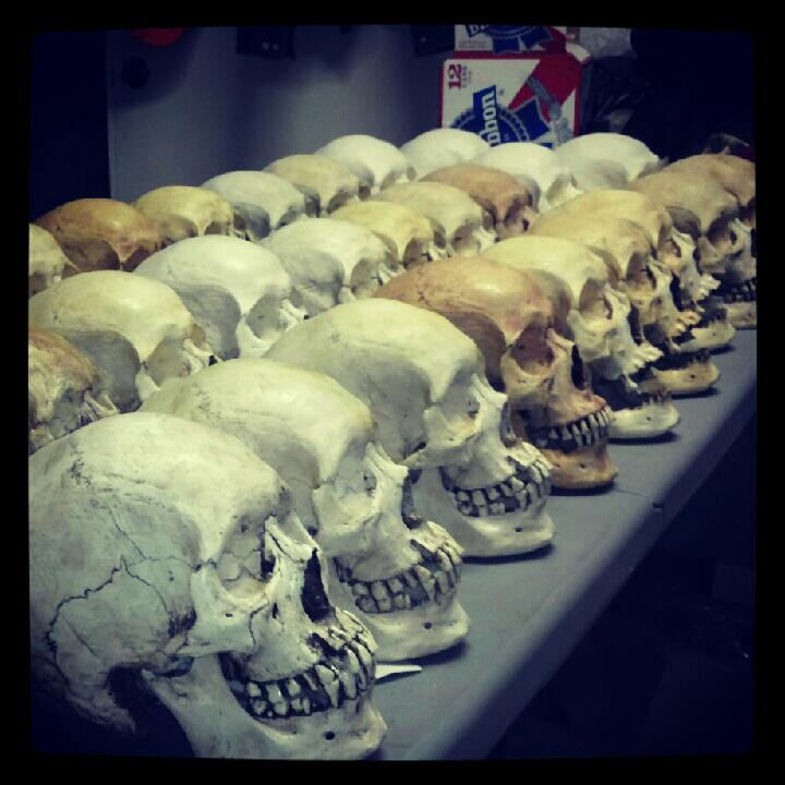 Making Skulls with the Skull Shoppe & Why Do They Look So Real?